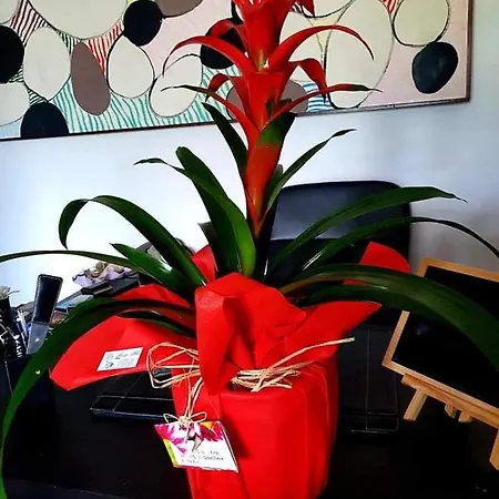 Tre Passi Dalla Torre Bed & Breakfast